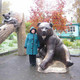 Юлия, 44