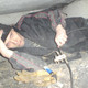 Владимир, 37