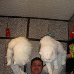 денис, 44