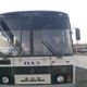 александр, 36