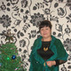 Роза, 66