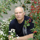 Владимир, 71