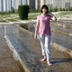 иветта, 56