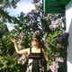 Елена, 49