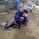 дмитрий, 37