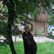 лариса, 59