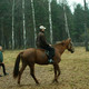Алексей, 49