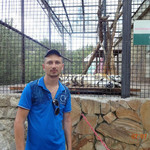 Денис, 38 (1 фото, 0 видео)