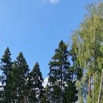 Владимир, 65