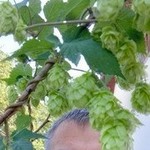 Сергей, 55